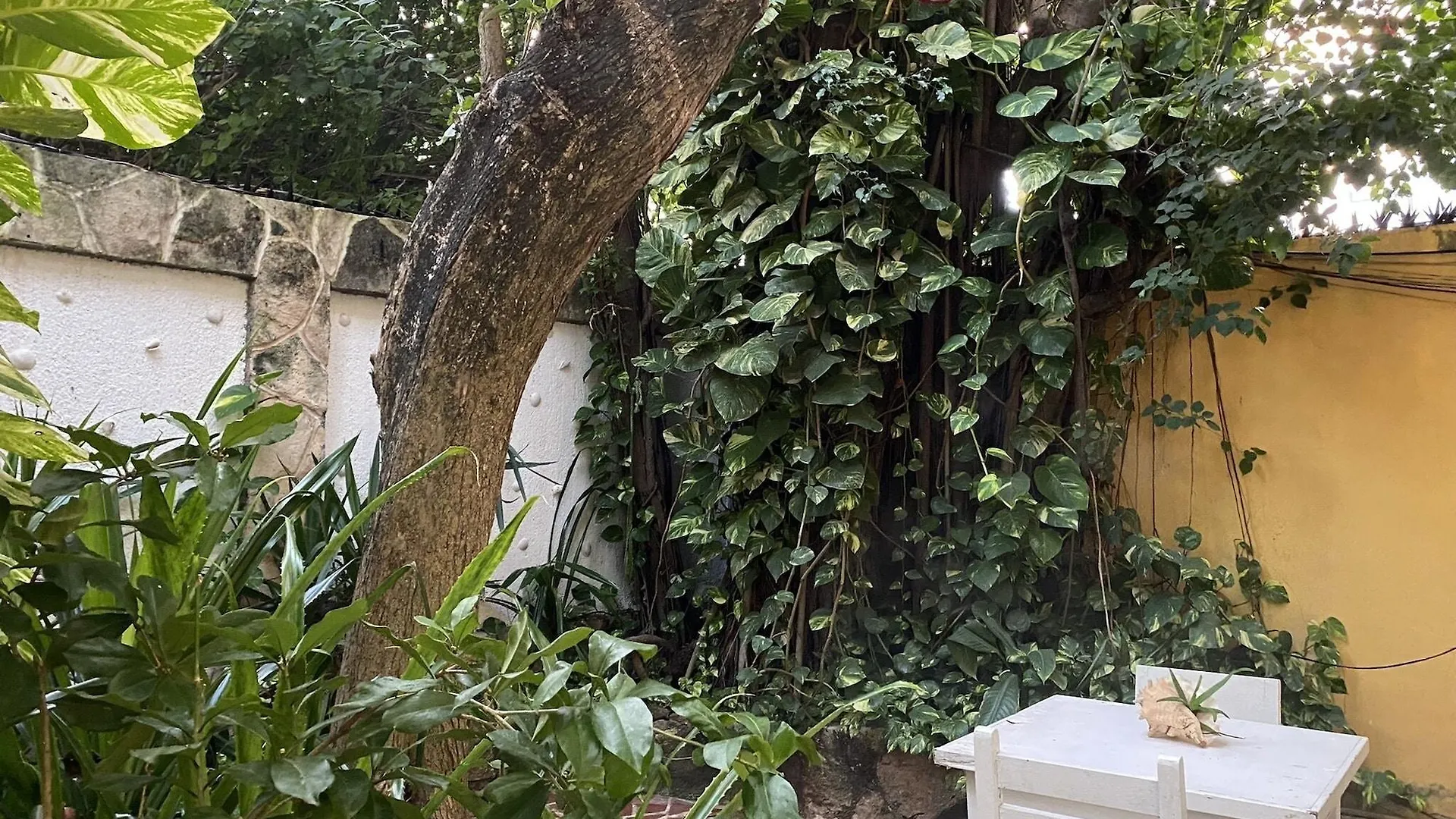 Maison Tulum