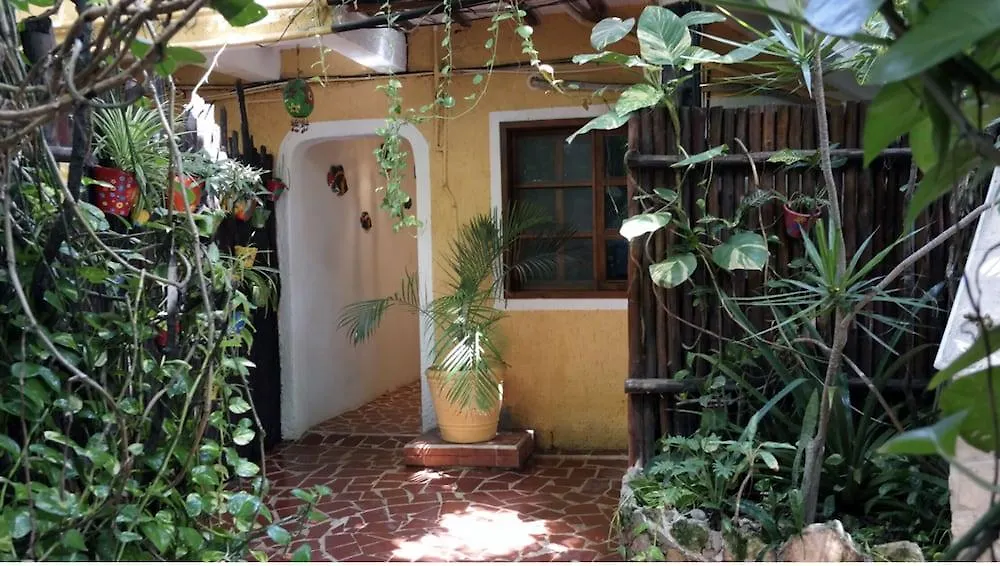 Hotel Maison Tulum
