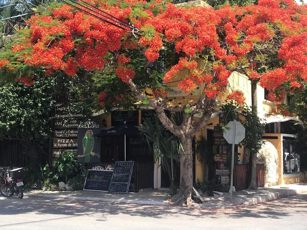 Maison Tulum