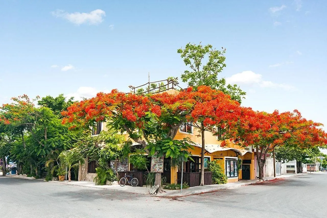 Hotel Maison Tulum