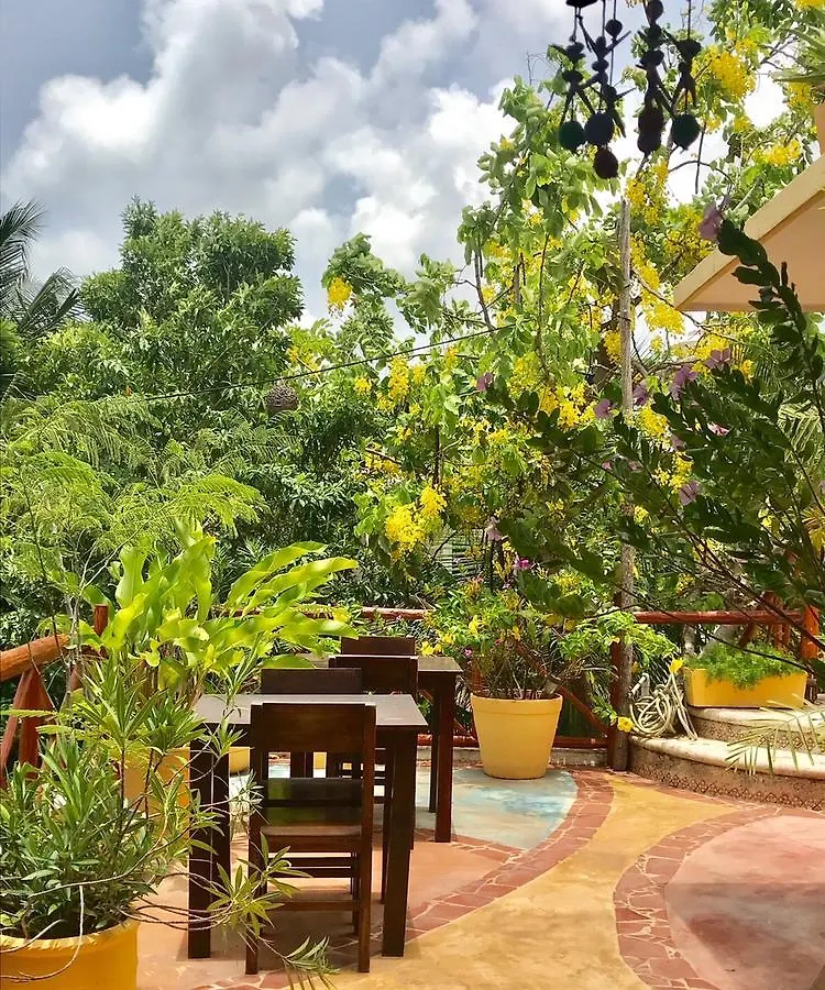 Maison Tulum 3*,