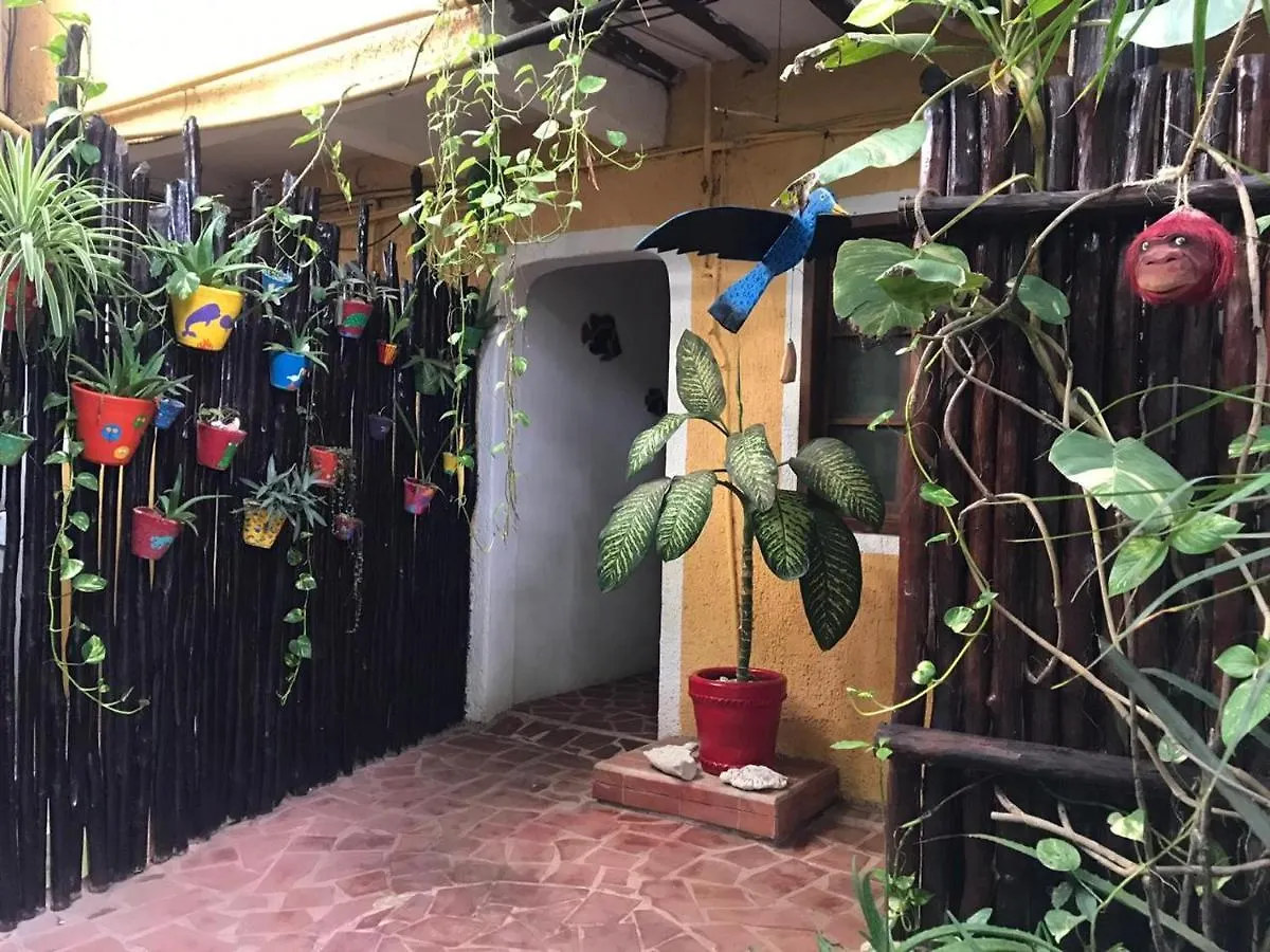 Maison Tulum Hotel